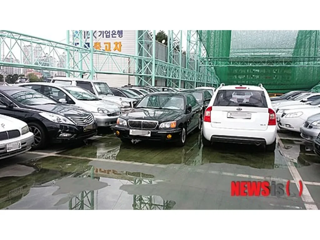 지붕 구조물 아래 여러 승용차와 SUV가 줄지어 있고 바닥에 물웅덩이가 보인다.