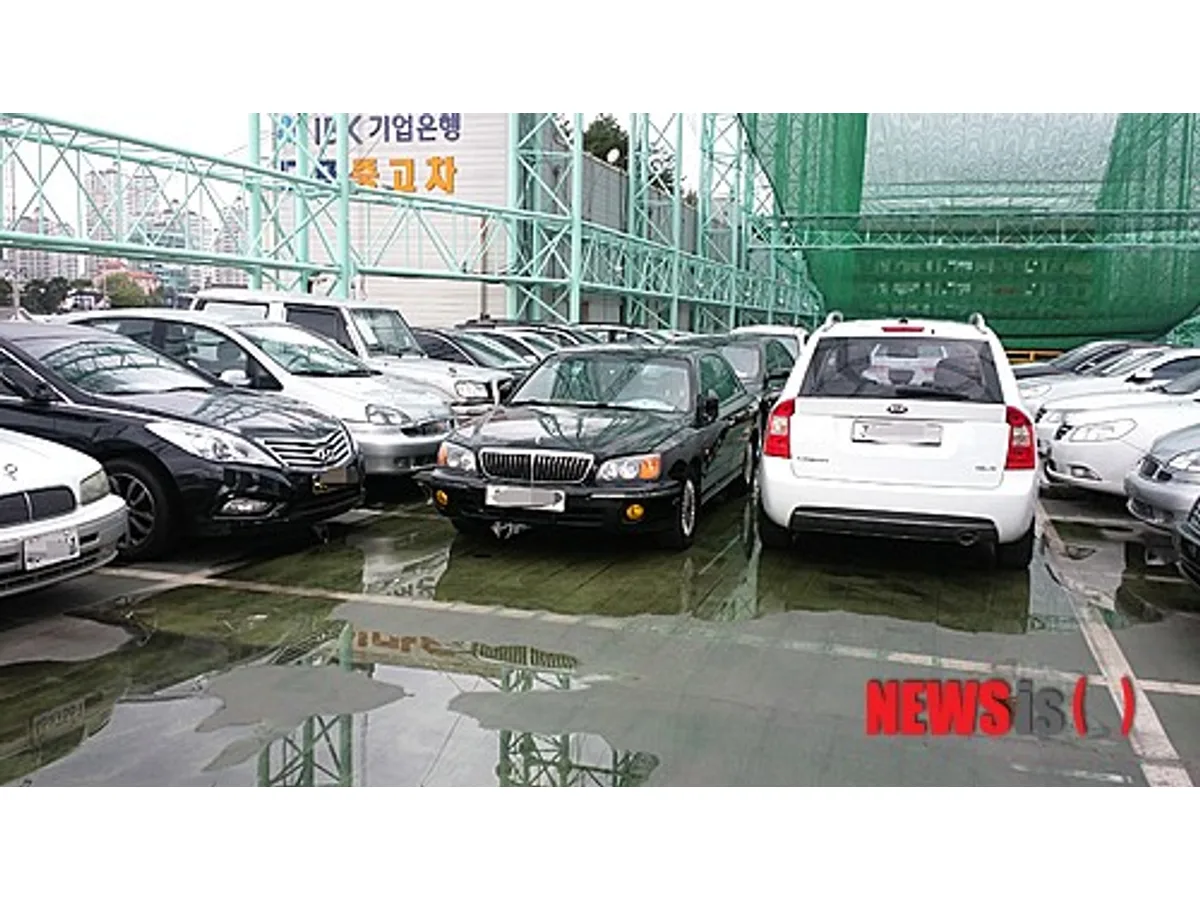 지붕 구조물 아래 여러 승용차와 SUV가 줄지어 있고 바닥에 물웅덩이가 보인다.